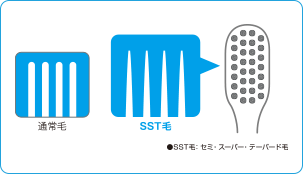 通常毛 SST毛 ●SST毛、セミ・スーパー・テーパード毛