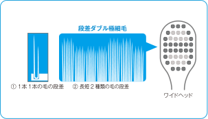 段差ダブル極細毛 ① 1本1本の毛の段差 ② 長短2種類の毛の段差 ワイドヘッド